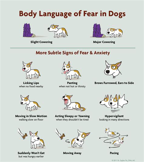 dog sign language examples.